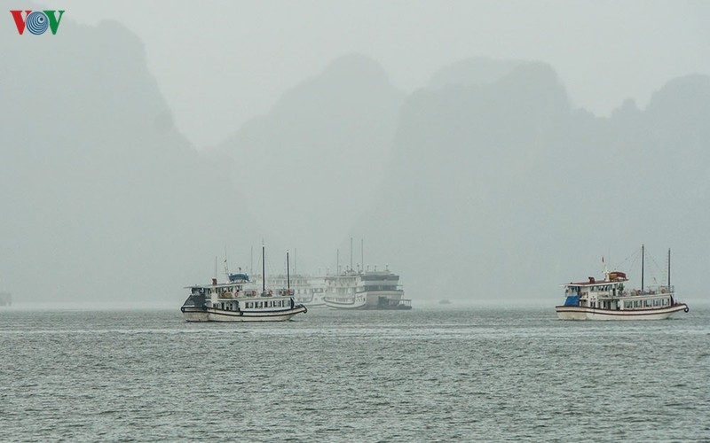 Tàu chở khách tham quan vịnh Hạ Long di chuyển về nơi tránh trú bão (ảnh minh họa)
