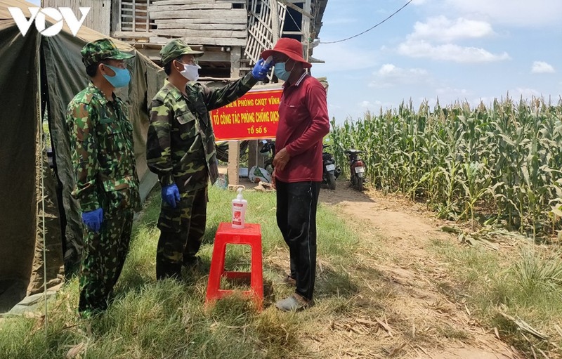 an giang kiem soat chat bien gioi de phong, chong benh chikungunya hinh anh 1