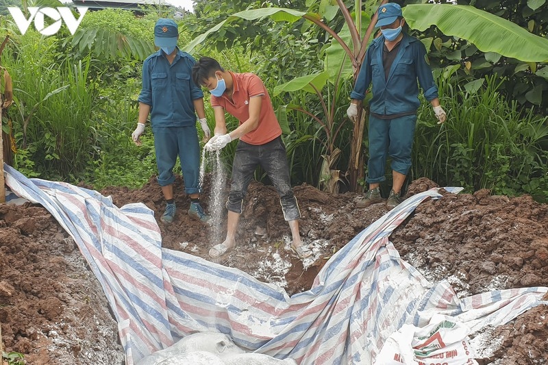 mat trang ca dan lon vi dich ta lon chau phi quay lai hinh anh 1