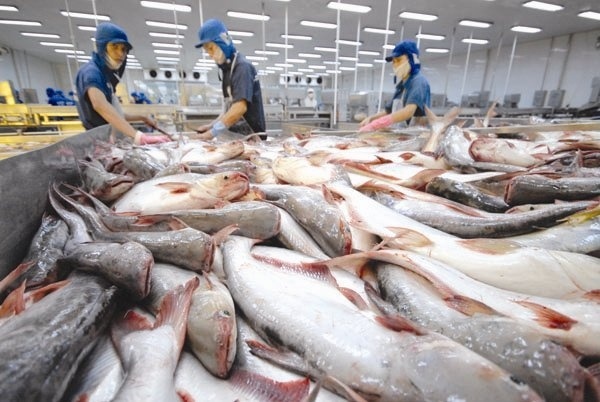 tra fish exports to asean endure sharp fall due to covid-19 picture 1