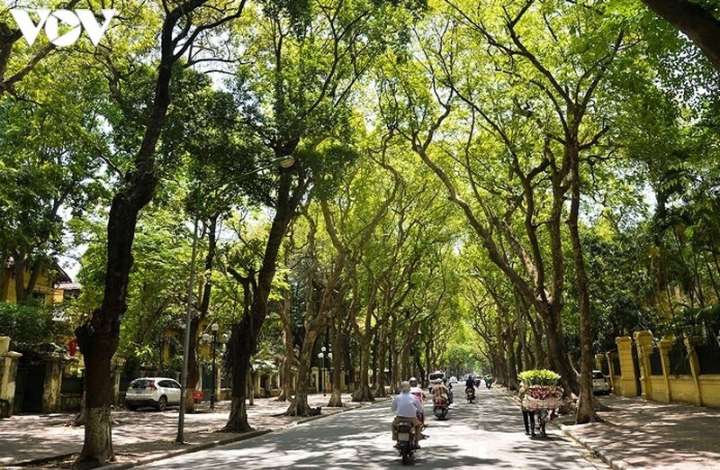 thời tiết hôm nay 3 9 hà nội ngày nắng nóng, chiều tối có mưa dông hình ảnh 1 thoi tiet hom nay 3 9 ha noi ngay nang nong, chieu toi co mua dong hinh anh 1