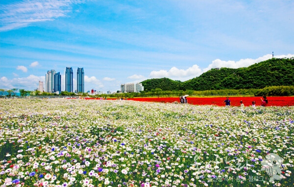 10 dia diem nen ghe tham khi den thanh pho ulsan, han quoc hinh anh 3