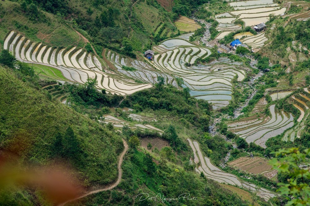 Anh du thi viet nam trong toi mu cang chai mua nuoc do hinh anh 3