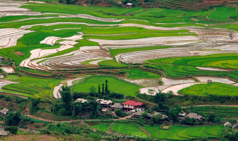 Anh du thi viet nam trong toi mu cang chai mua nuoc do hinh anh 6