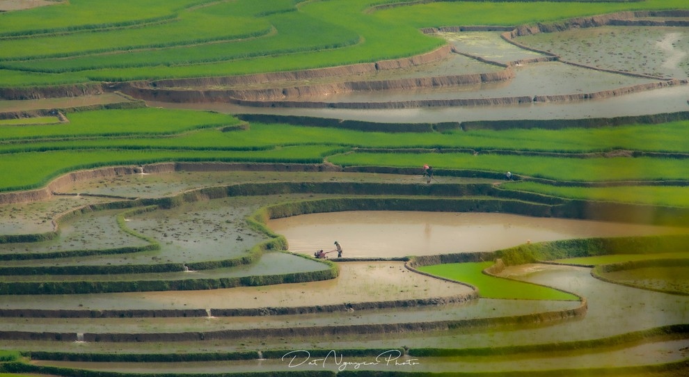 Anh du thi viet nam trong toi mu cang chai mua nuoc do hinh anh 7