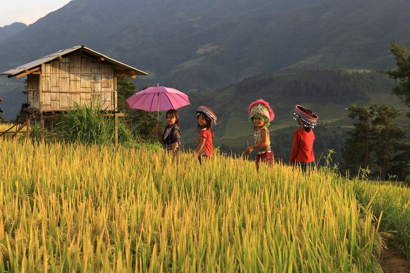 Anh du thi viet nam trong toi ve dep sang nhu - mu cang chai hinh anh 1