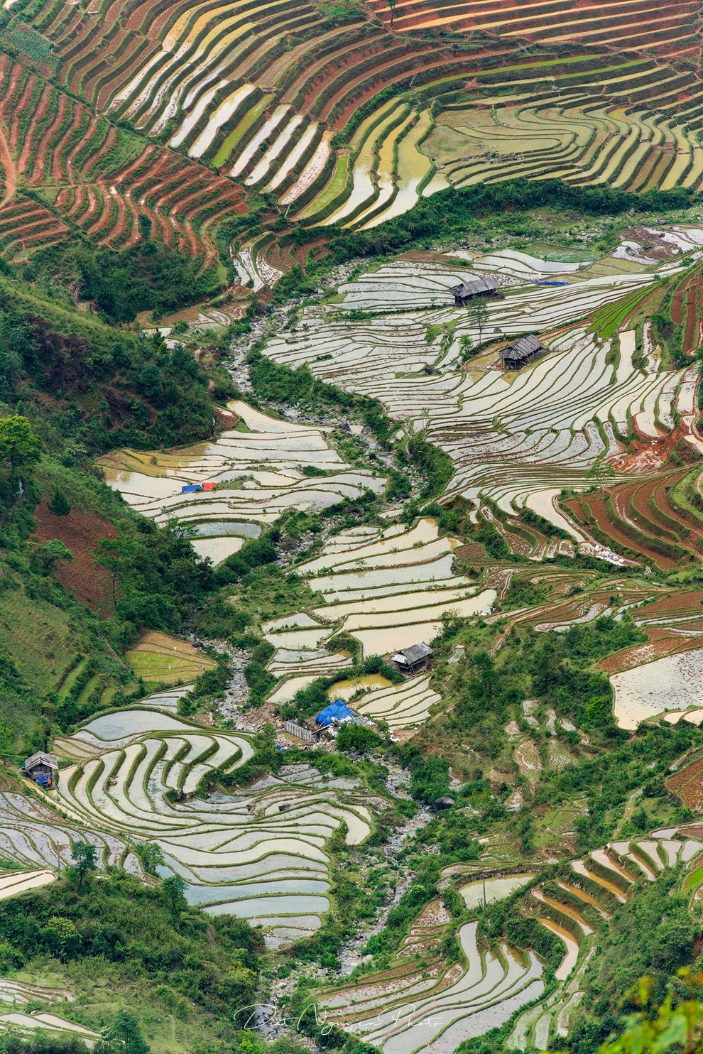 Anh du thi viet nam trong toi mu cang chai mua nuoc do hinh anh 8