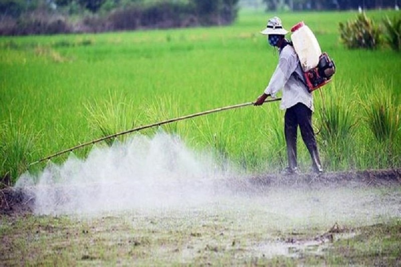 Bất thường việc nhiều thai nhi không được chào đời