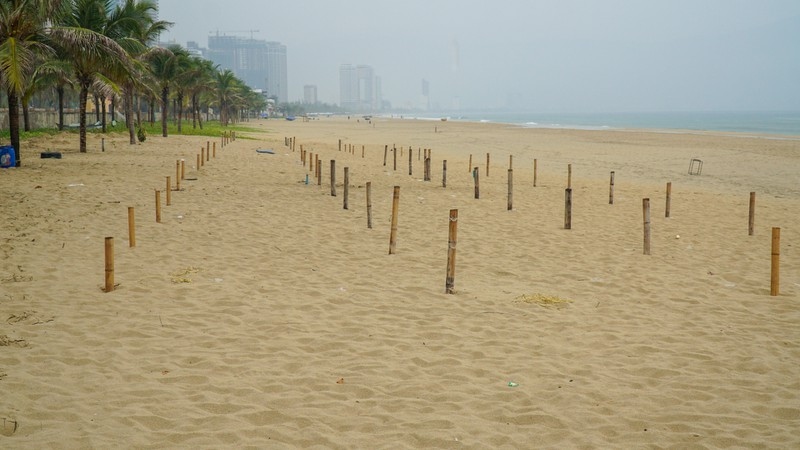 da nang residents brace for impact of typhoon noul picture 1