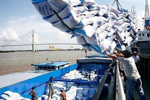 rice exports enjoy vigorous growth during eight-month period picture 1