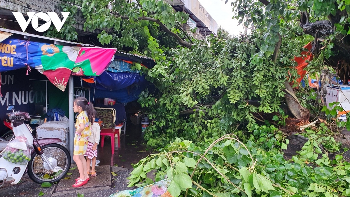storm noul wreaks havoc in central region after making landfall picture 7