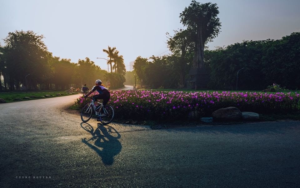 ngam binh minh dep tua tranh ve tai khu do thi xanh ecopark hinh anh 6