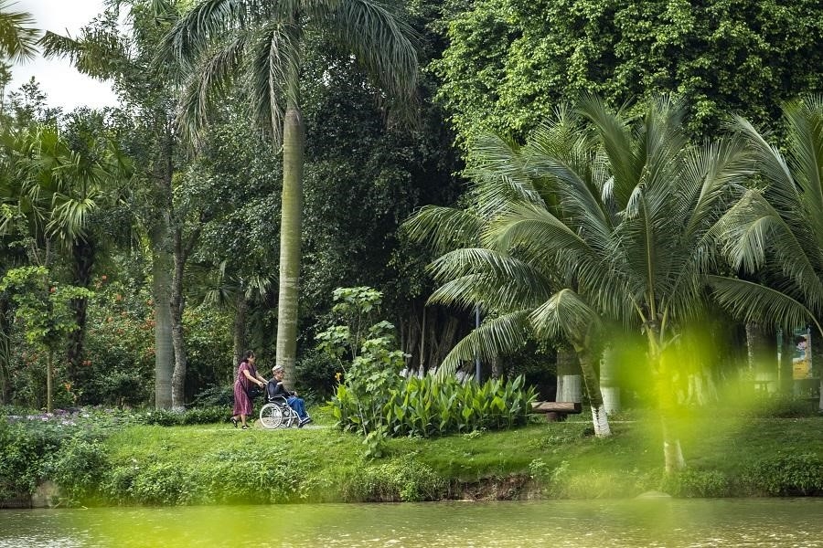 ngam binh minh dep tua tranh ve tai khu do thi xanh ecopark hinh anh 7