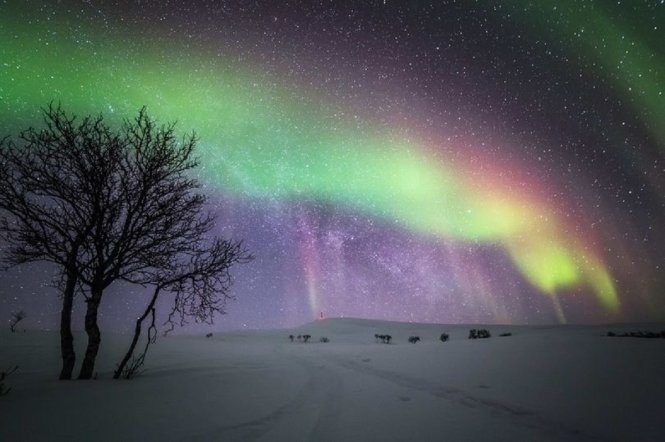 Лапландия небо Северное сияние