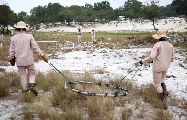 international donors assist quang tri s bomb, mine clearance efforts picture 1 international donors assist quang tri s bomb, mine clearance efforts picture 1