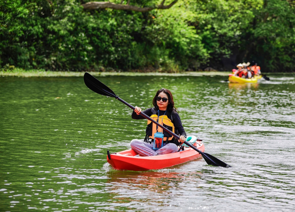 Lệnh cấm chèo thuyền kayak ở Hạ Long Sự bất lực của quản lý  Xã hội   Vietnam VietnamPlus