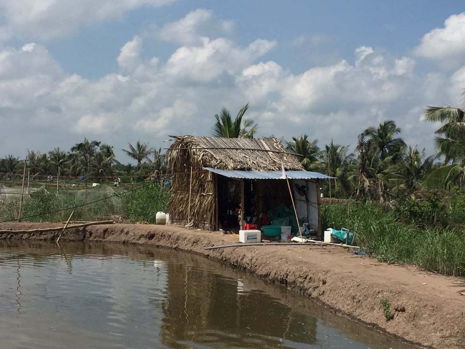 3 nguoi tu vong trong mot gia dinh nghi tu tu tai ben tre hinh anh 1