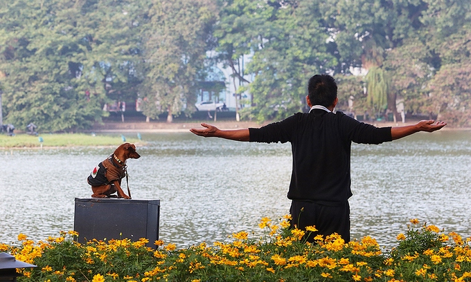 walking dogs might be banned from hanoi s walking streets picture 1