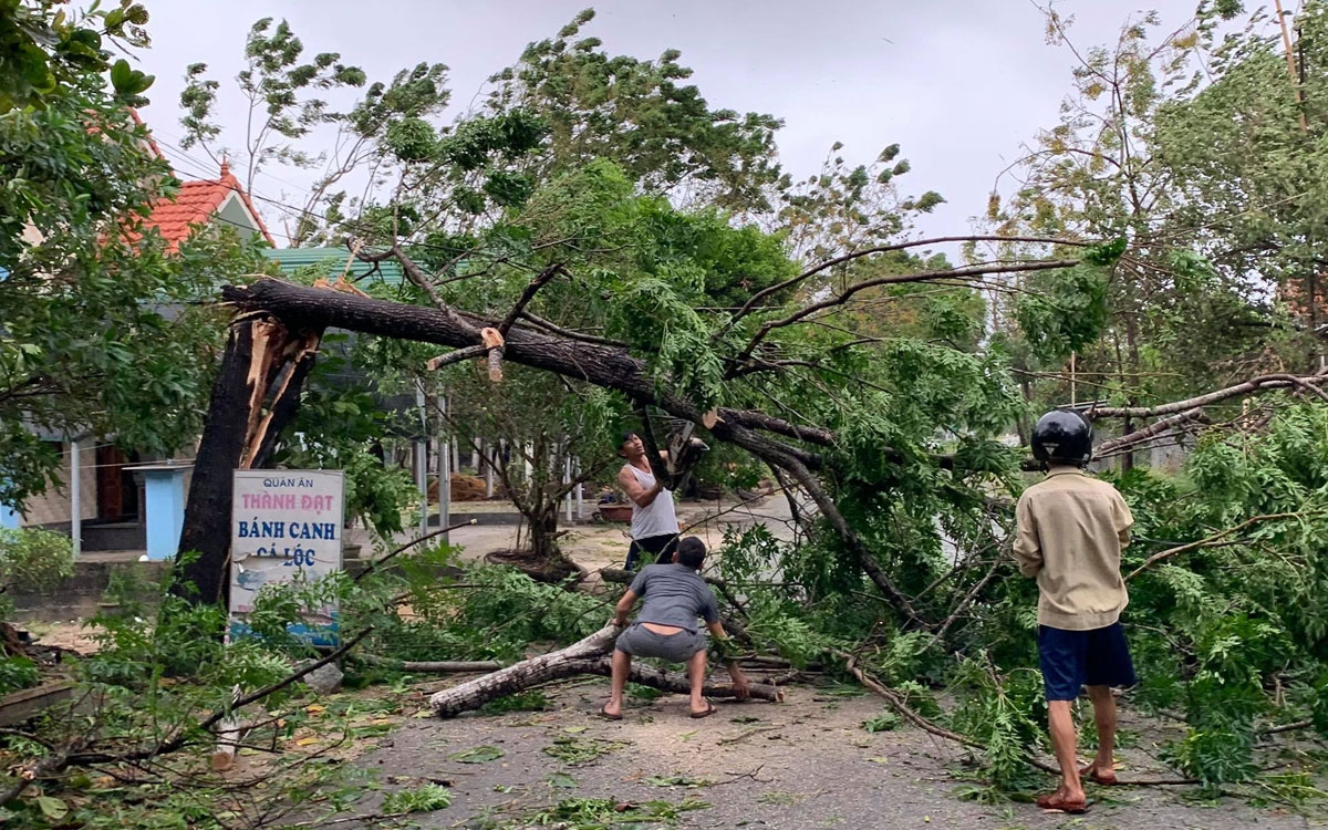 Da nang mua to, gio giat manh som hon du bao hinh anh 4