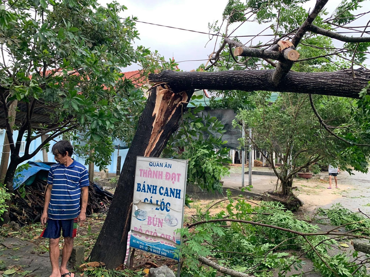 Da nang mua to, gio giat manh som hon du bao hinh anh 3