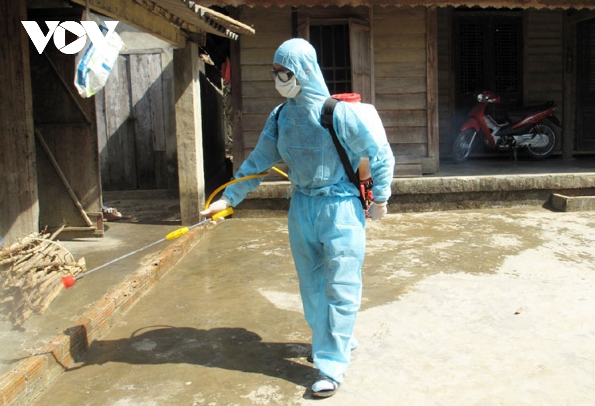 hanoi, lam dong province endure sharp rise in dengue fever cases picture 1