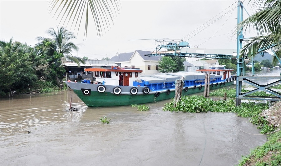 Lô hàng gạo thơm đầu tiên của Việt Nam lên đường sang châu Âu