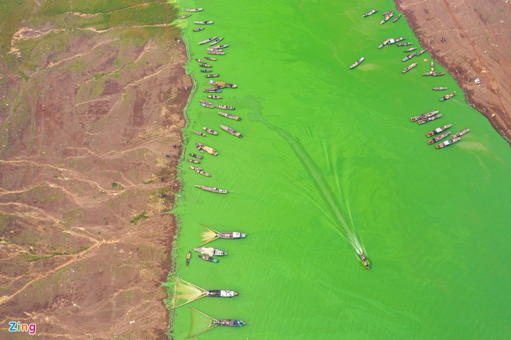 tri an lake appears charming in green algae season picture 7