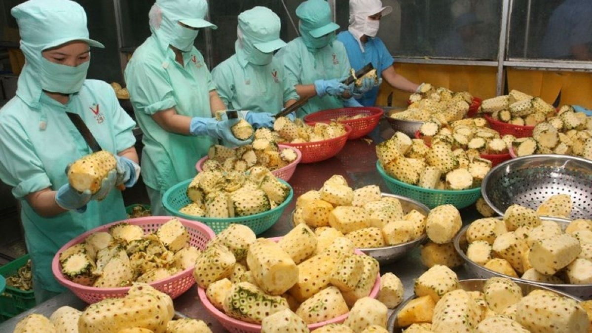 vietnam, us explore ways to raise export and import turnover of farm produce picture 1