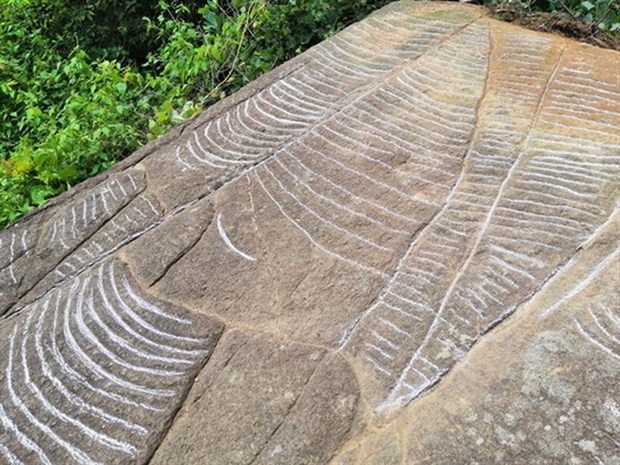more ancient slabs with engravings of terraced fields found in yen bai picture 1