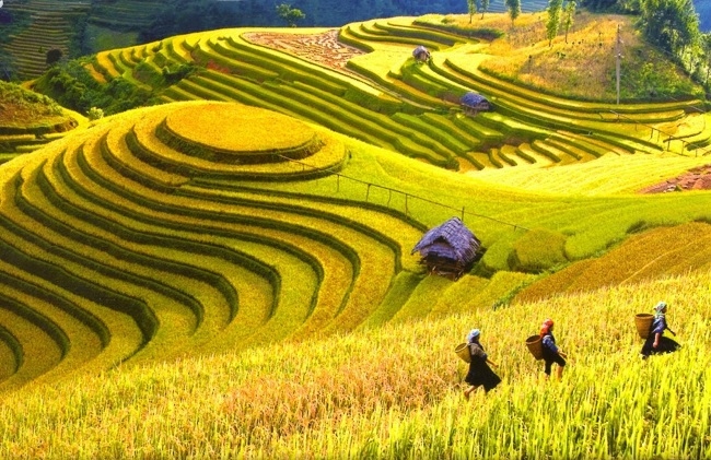 five must-visit destinations in vietnam picture 2