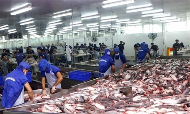 covid-19 impact causes tra fish exports to china to plummet picture 1
