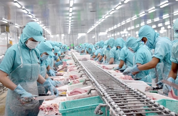 tra fish exporters struggle with production, exports picture 1