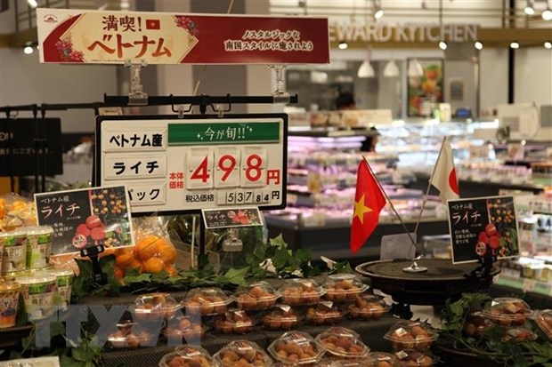 vietnamese goods introduced at japanese chain aeon picture 1