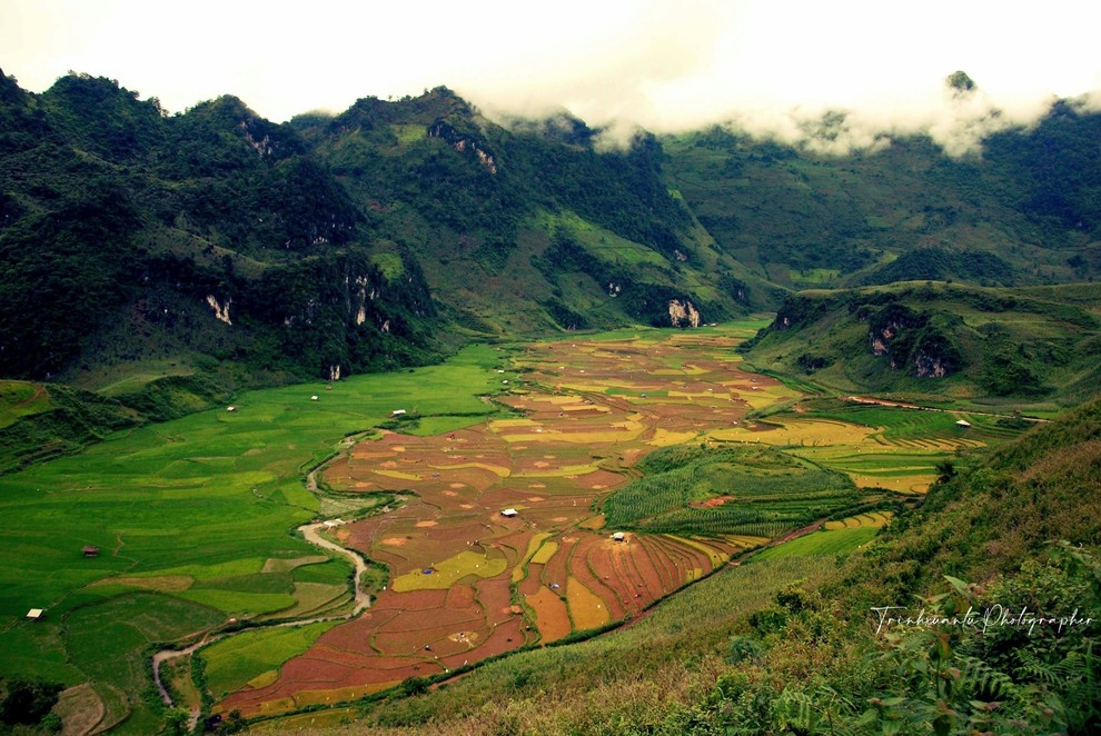 Anh du thi viet nam trong toi sac mau ruong bac thang tua chua hinh anh 1