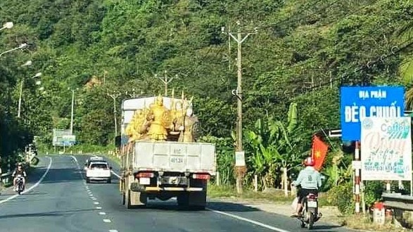 se kiem tra viec hang chuc tuong nghi linh trung quoc duoc tra ve binh duong hinh anh 1