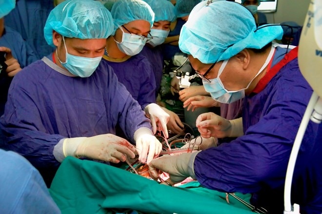record number of organ transplants performed in vietnam picture 1