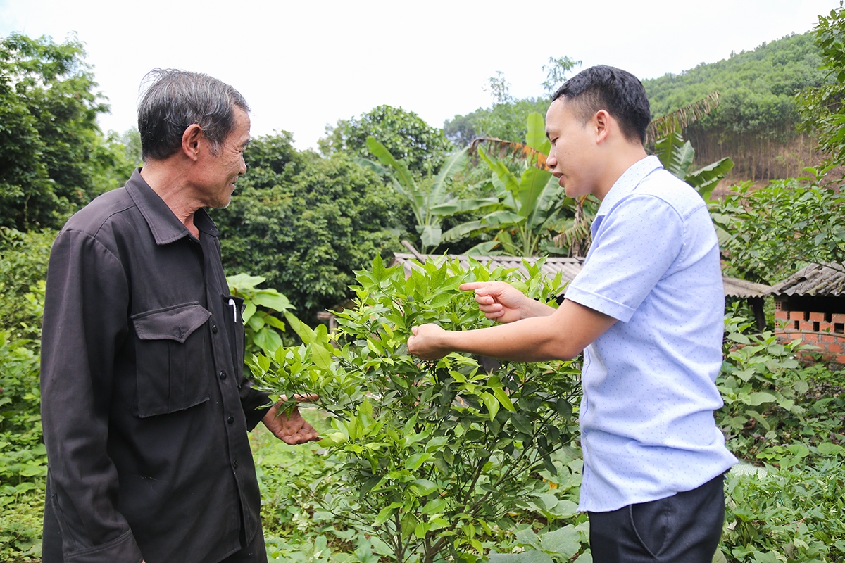 tinh gon to chuc bo may hieu luc, hieu qua - Diem sang cua quang ninh hinh anh 1