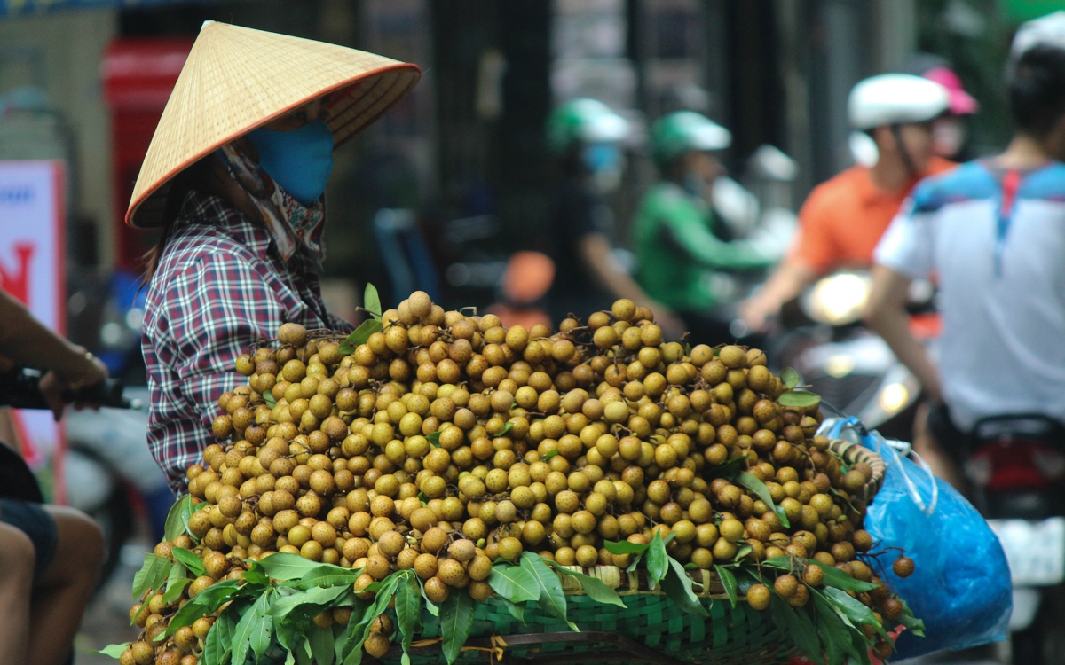 nhung dac san kho quen cua mua thu ha noi hinh anh 16