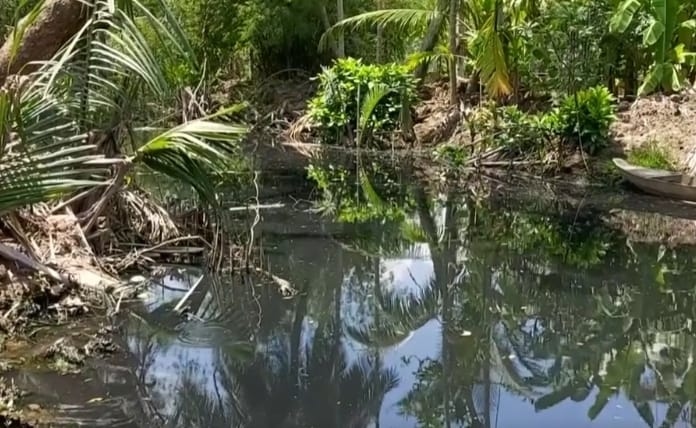 hang tram ho dan o ben tre keu cuu dong kenh, rach bi o nhiem hinh anh 3