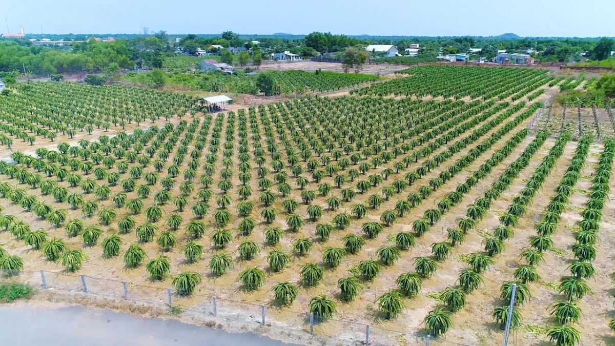 ba ria - vung tau du lich ven bien phai huong den cong dong hinh anh 2