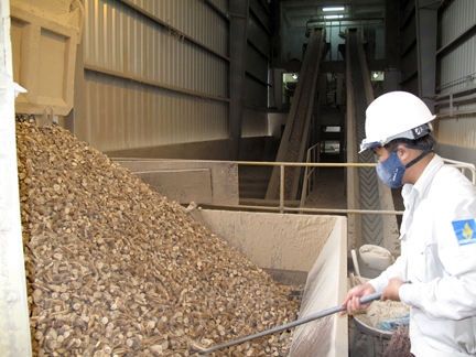 dried cassava chips exports enjoy vigorous growth picture 1