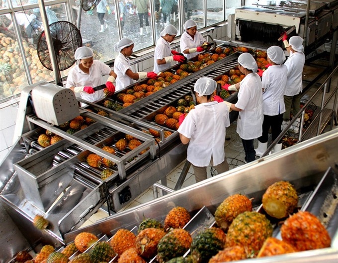 vietnam, netherlands seek to boost trading in fruits, vegetables picture 1