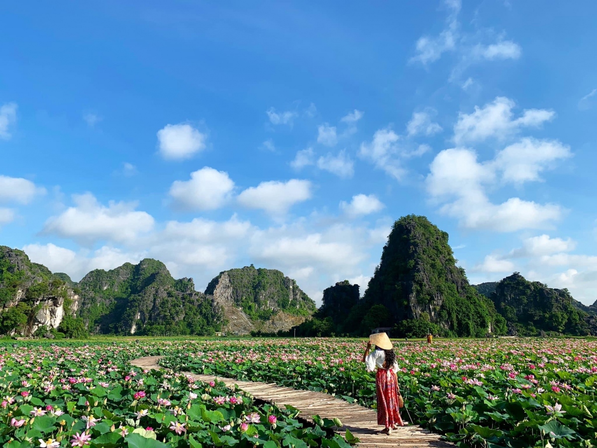 ngo ngang ho sen o hang mua no ro giua troi thu hinh anh 1