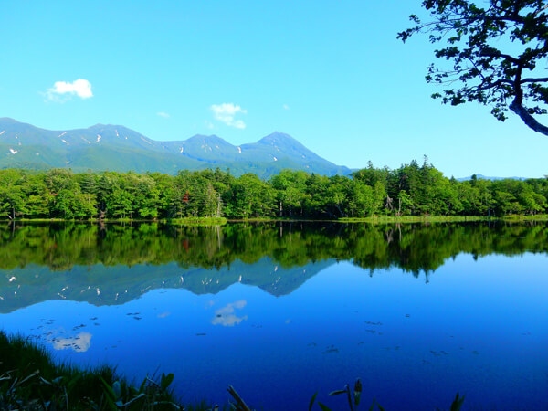 10 diem dung chan ly tuong khi den hokkaido, nhat ban hinh anh 8