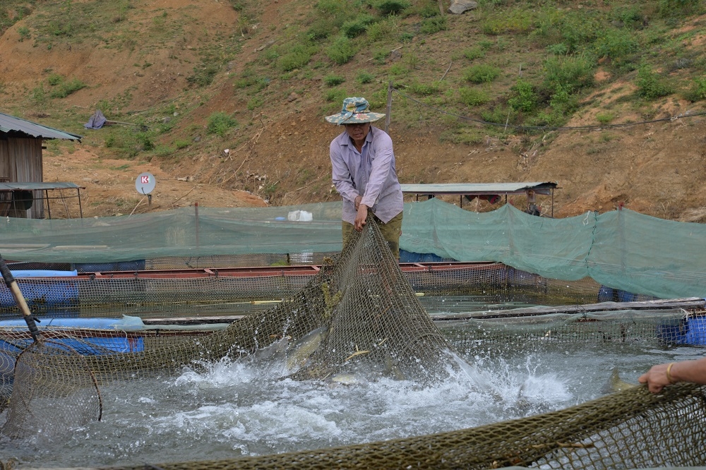 Thay đổi tư duy sản xuất nông nghiệp qua Chương trình OCOP