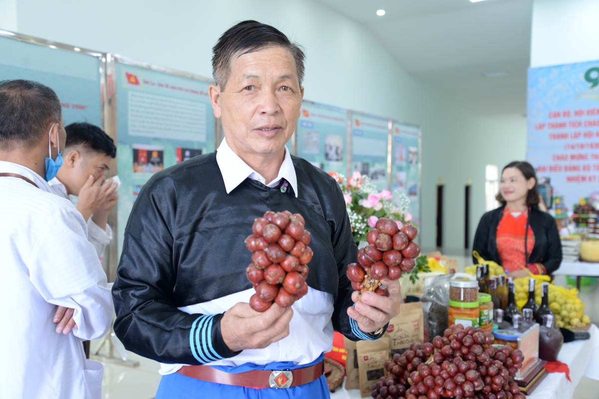 thu hàng trăm triệu đồng mỗi năm từ trồng cây dược liệu hình ảnh 1 thu hang tram trieu dong moi nam tu trong cay duoc lieu hinh anh 1
