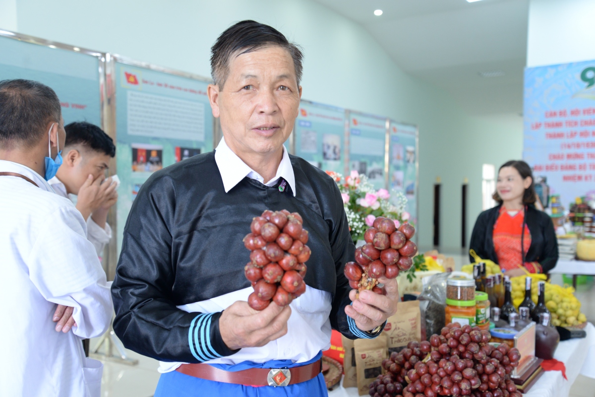 thu hang tram trieu dong moi nam tu trong cay duoc lieu hinh anh 1