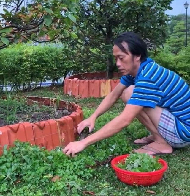 ben trong nha tho to nghiep tien ty cua danh hai hoai linh hinh anh 6