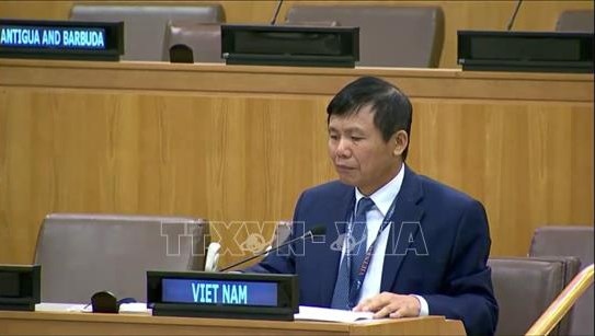vietnam attends non-aligned movement ministerial meeting picture 1