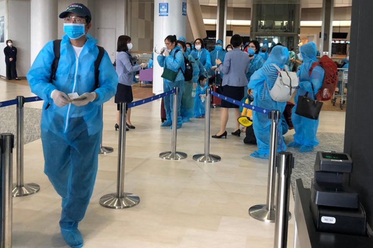 vietnam airlines brings home 350 vietnamese citizens from japan picture 1